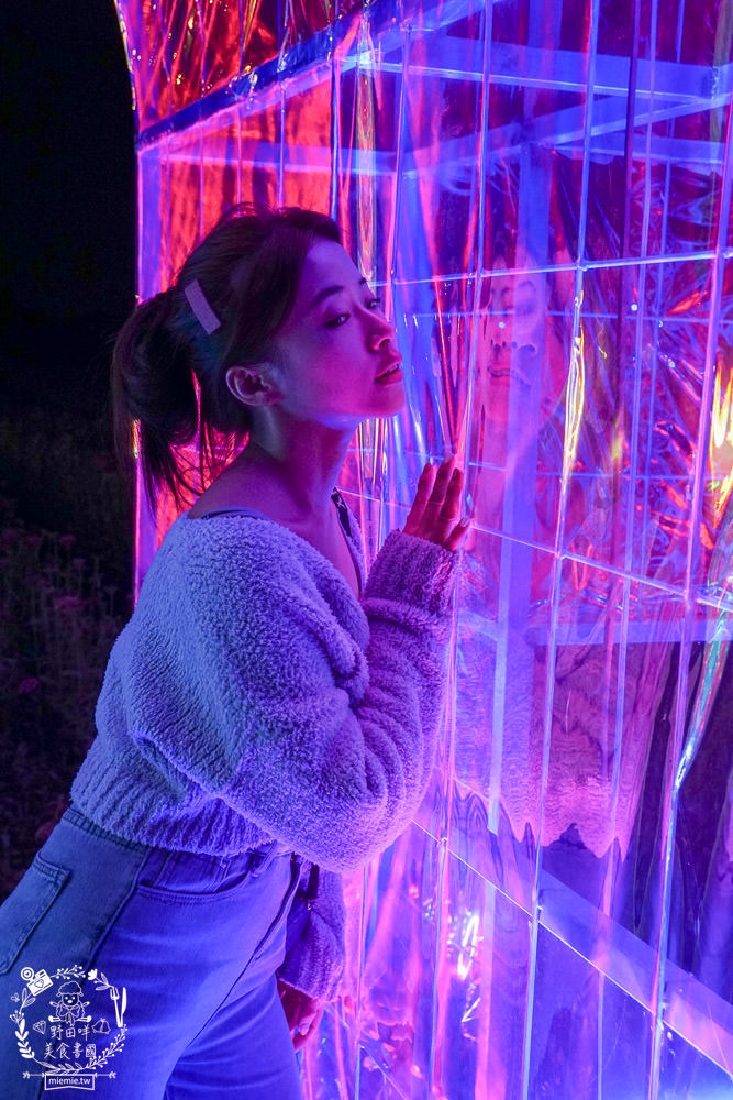 2025美濃花海|高雄色彩絢麗的繽紛浪漫花海!超好拍的七彩巨椅+兔兔藝術裝置!向日葵+百日草+大波斯菊等絢爛花海~