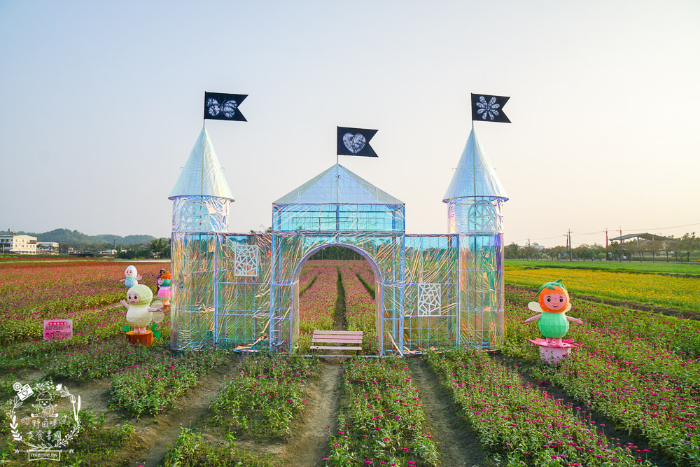 2025美濃花海|高雄色彩絢麗的繽紛浪漫花海!超好拍的七彩巨椅+兔兔藝術裝置!向日葵+百日草+大波斯菊等絢爛花海~