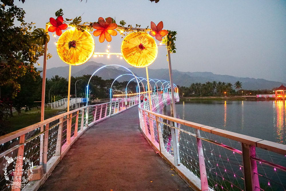 2025美濃花海|高雄色彩絢麗的繽紛浪漫花海!超好拍的七彩巨椅+兔兔藝術裝置!向日葵+百日草+大波斯菊等絢爛花海~