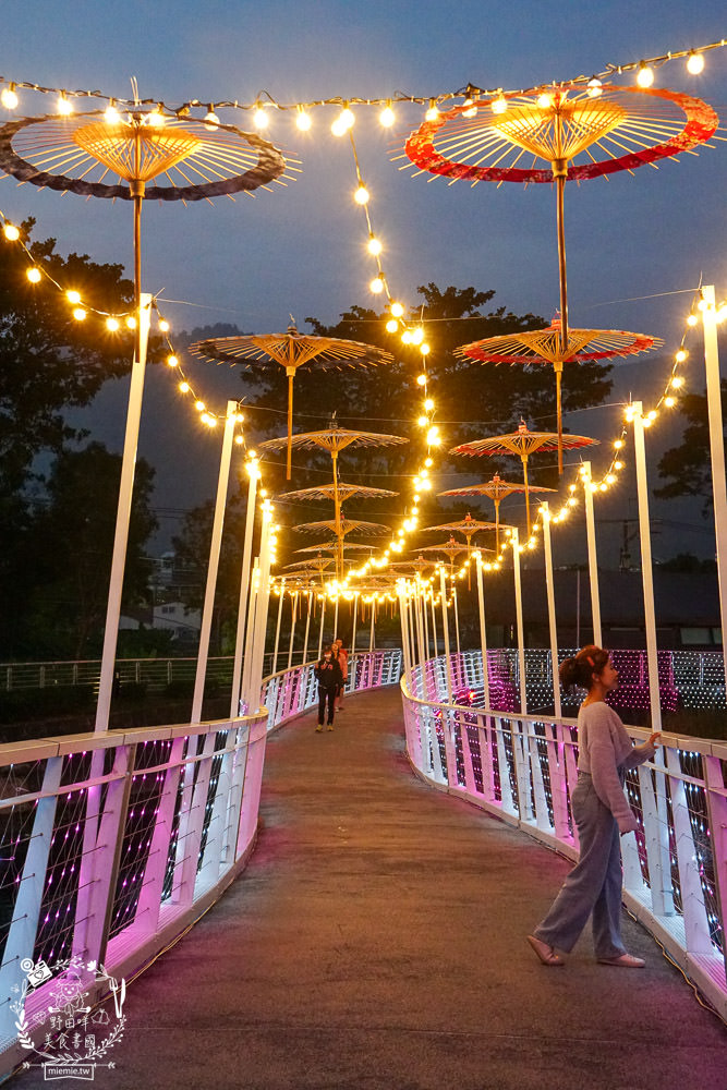 2025美濃花海|高雄色彩絢麗的繽紛浪漫花海!超好拍的七彩巨椅+兔兔藝術裝置!向日葵+百日草+大波斯菊等絢爛花海~