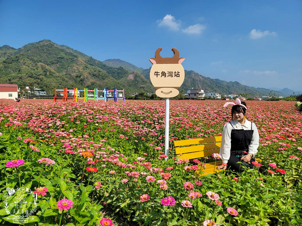 2025美濃花海|高雄色彩絢麗的繽紛浪漫花海!超好拍的七彩巨椅+兔兔藝術裝置!向日葵+百日草+大波斯菊等絢爛花海~