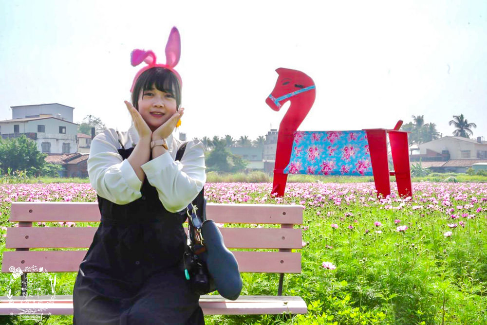 2025美濃花海|高雄色彩絢麗的繽紛浪漫花海!超好拍的七彩巨椅+兔兔藝術裝置!向日葵+百日草+大波斯菊等絢爛花海~
