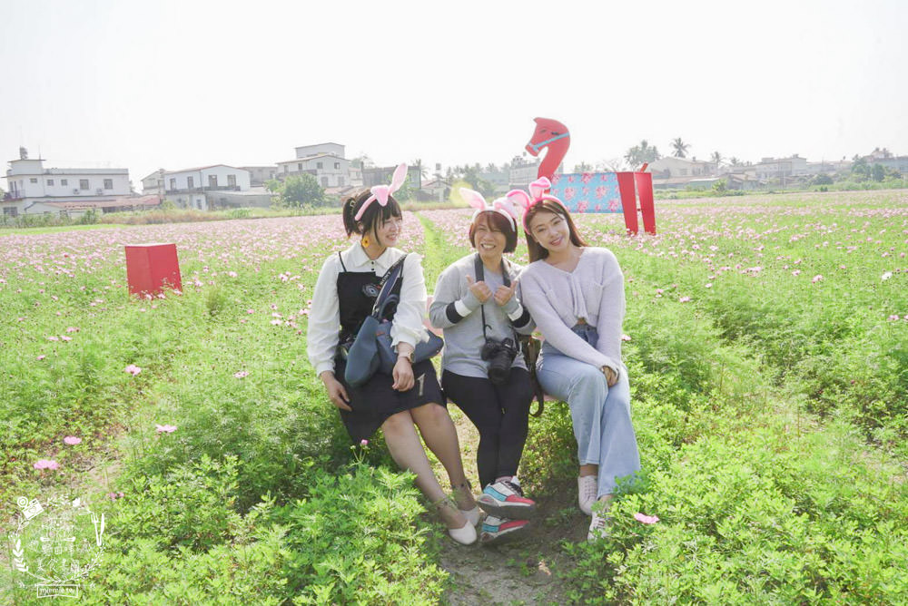 2025美濃花海|高雄色彩絢麗的繽紛浪漫花海!超好拍的七彩巨椅+兔兔藝術裝置!向日葵+百日草+大波斯菊等絢爛花海~