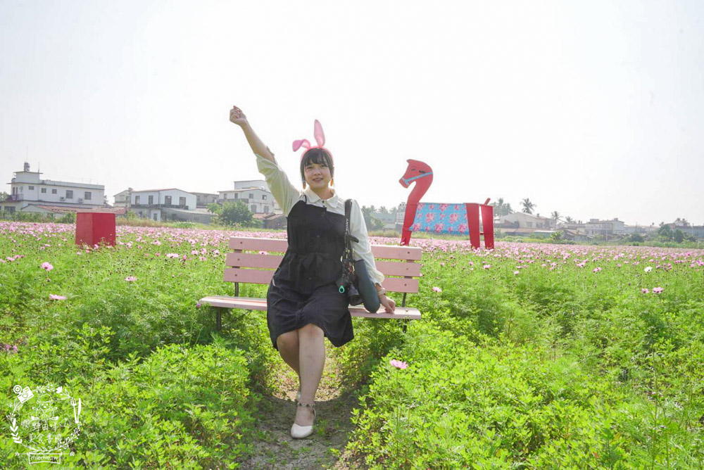 2025美濃花海|高雄色彩絢麗的繽紛浪漫花海!超好拍的七彩巨椅+兔兔藝術裝置!向日葵+百日草+大波斯菊等絢爛花海~