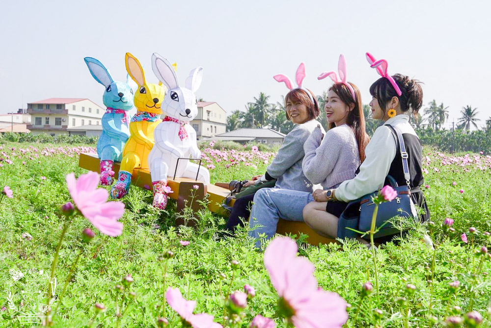 2025美濃花海|高雄色彩絢麗的繽紛浪漫花海!超好拍的七彩巨椅+兔兔藝術裝置!向日葵+百日草+大波斯菊等絢爛花海~
