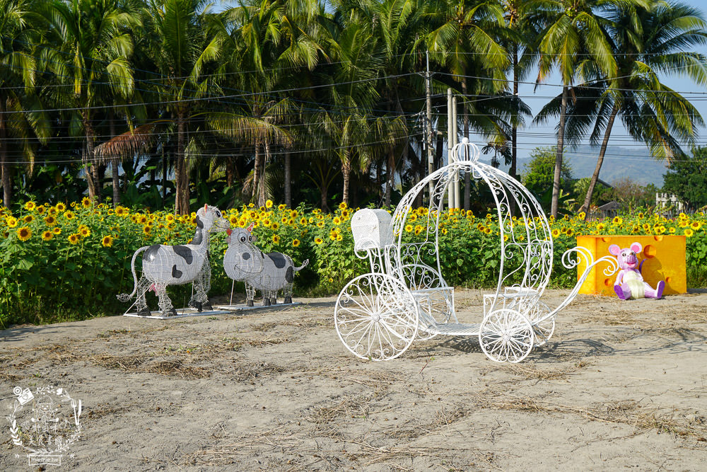 2025美濃花海|高雄色彩絢麗的繽紛浪漫花海!超好拍的七彩巨椅+兔兔藝術裝置!向日葵+百日草+大波斯菊等絢爛花海~