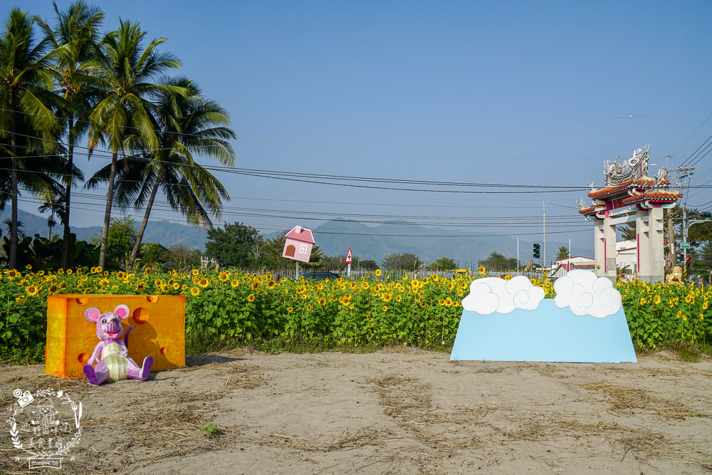 2025美濃花海|高雄色彩絢麗的繽紛浪漫花海!超好拍的七彩巨椅+兔兔藝術裝置!向日葵+百日草+大波斯菊等絢爛花海~