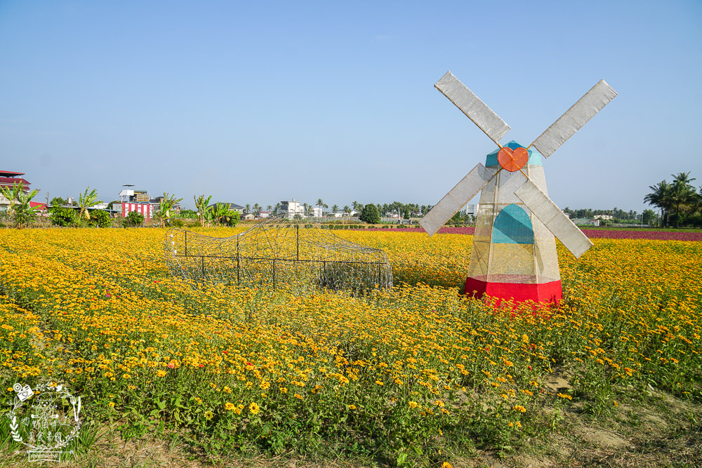 2025美濃花海|高雄色彩絢麗的繽紛浪漫花海!超好拍的七彩巨椅+兔兔藝術裝置!向日葵+百日草+大波斯菊等絢爛花海~