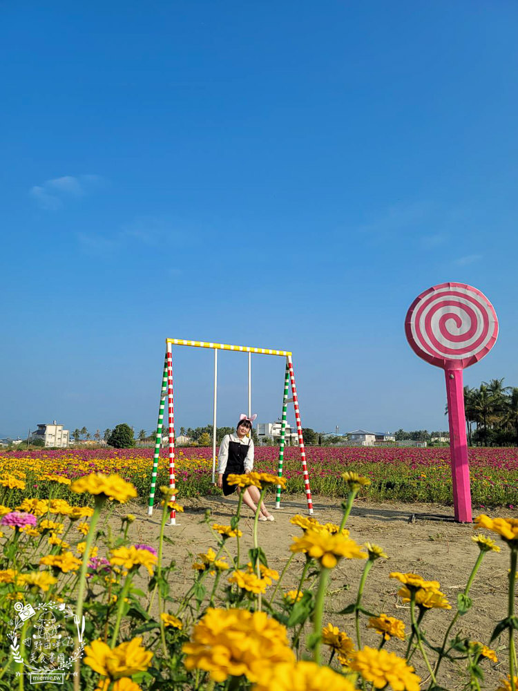 2025美濃花海|高雄色彩絢麗的繽紛浪漫花海!超好拍的七彩巨椅+兔兔藝術裝置!向日葵+百日草+大波斯菊等絢爛花海~