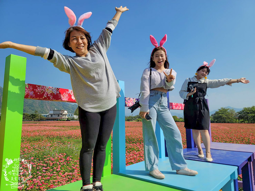 2025美濃花海|高雄色彩絢麗的繽紛浪漫花海!超好拍的七彩巨椅+兔兔藝術裝置!向日葵+百日草+大波斯菊等絢爛花海~