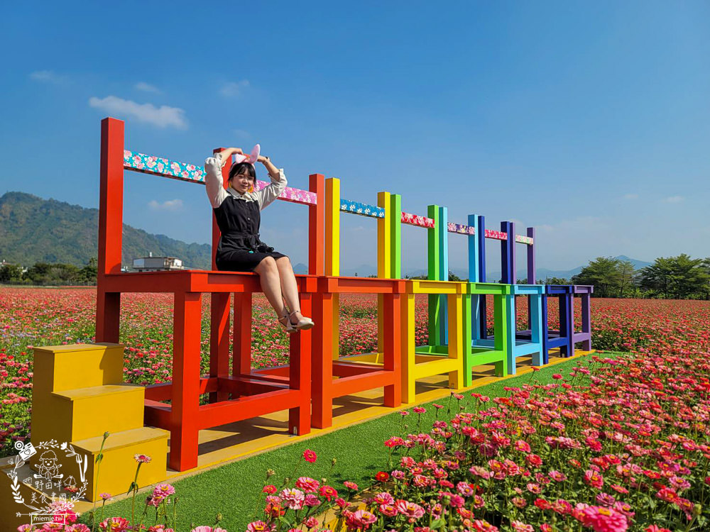 2025美濃花海|高雄色彩絢麗的繽紛浪漫花海!超好拍的七彩巨椅+兔兔藝術裝置!向日葵+百日草+大波斯菊等絢爛花海~
