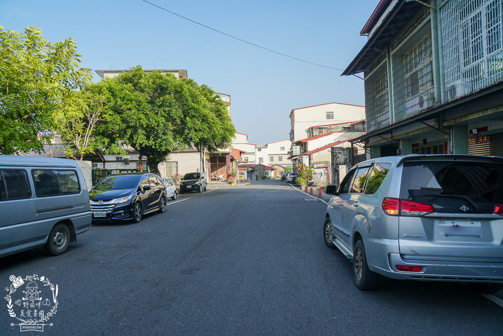 2025美濃花海|高雄色彩絢麗的繽紛浪漫花海!超好拍的七彩巨椅+兔兔藝術裝置!向日葵+百日草+大波斯菊等絢爛花海~