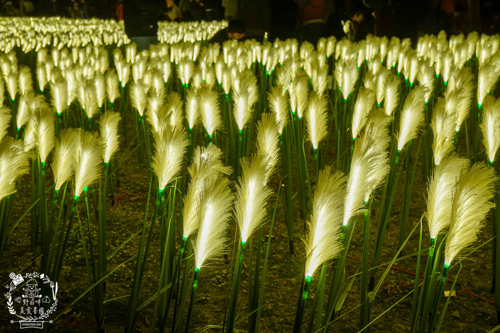 2023高雄蓮池潭燈會攻略!尋找超可愛的ㄇㄚˊ幾兔+OPEN家族拍照!高雄燈會交通|高雄燈會 - 第28張圖 2023高雄蓮池潭燈會攻略!尋找超可愛的ㄇㄚˊ幾兔+OPEN家族拍照!高雄燈會交通|高雄燈會