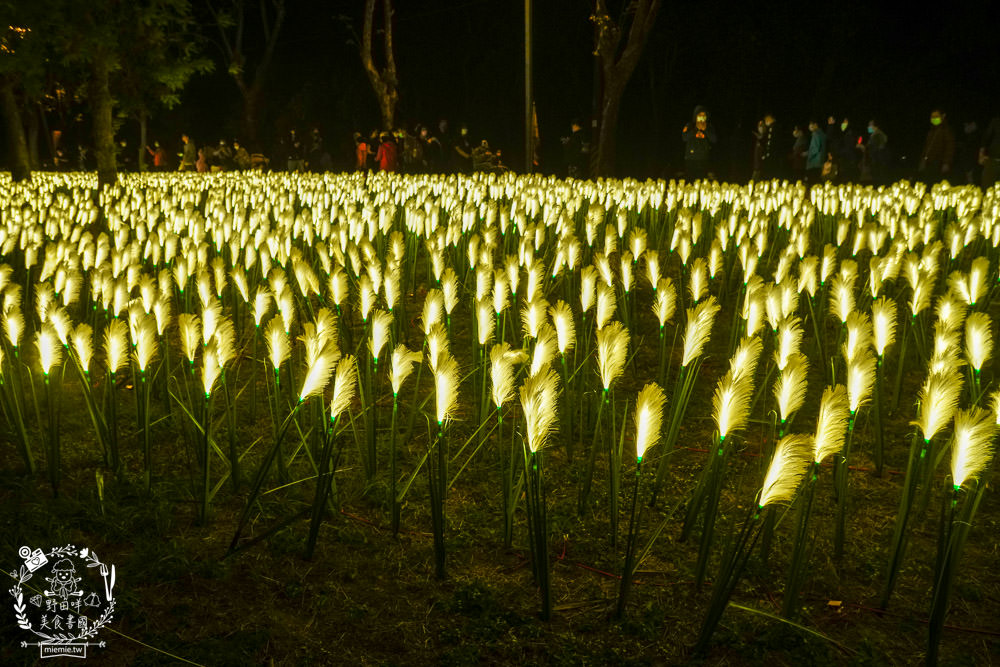 2023高雄蓮池潭燈會攻略!尋找超可愛的ㄇㄚˊ幾兔+OPEN家族拍照!高雄燈會交通|高雄燈會 - 第29張圖 2023高雄蓮池潭燈會攻略!尋找超可愛的ㄇㄚˊ幾兔+OPEN家族拍照!高雄燈會交通|高雄燈會