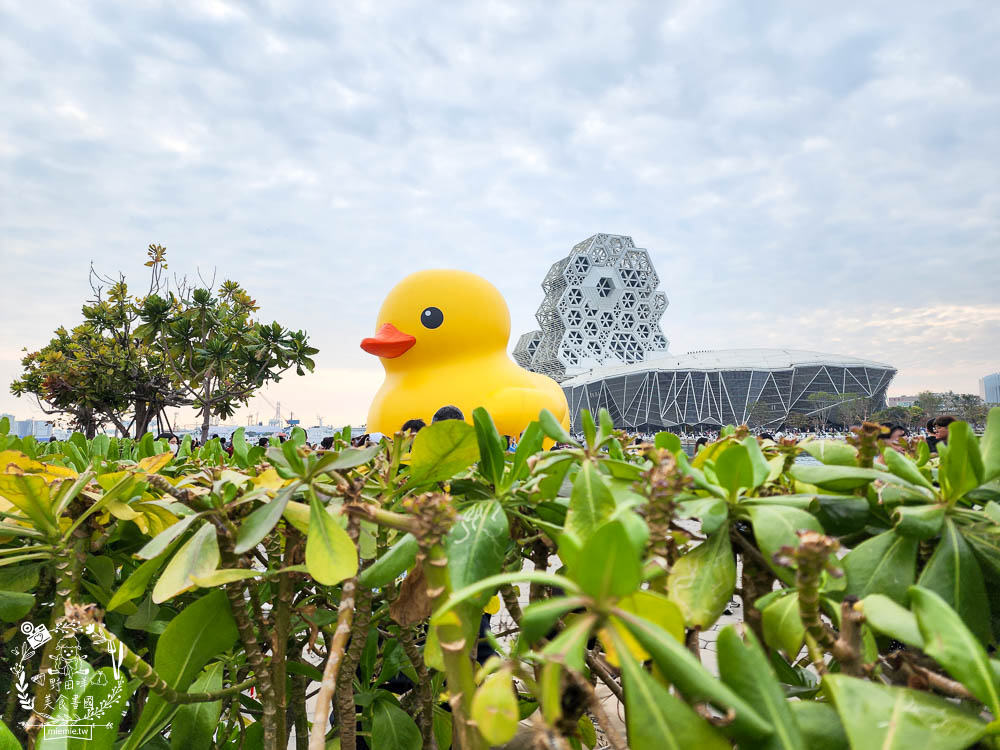 2024高雄黃色小鴨冬日遊樂園|超好拍照的兩隻黃色小鴨就在流行中心!