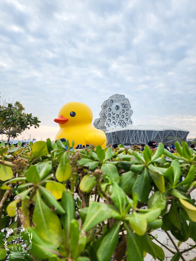 2024高雄黃色小鴨冬日遊樂園|超好拍照的兩隻黃色小鴨就在流行中心!