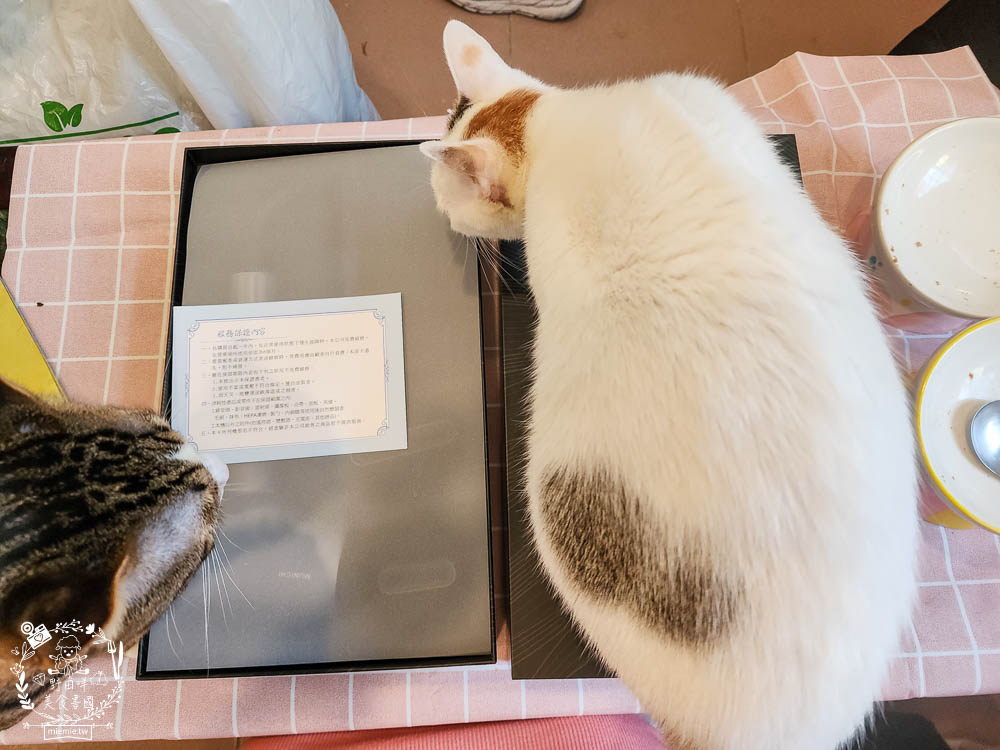 負離子吹風機推薦!MUNICHI 沐尼黑 極靜沙龍級負離子高速吹風機 MR.COIN|超輕巧的2000萬高濃度負離子吹風機