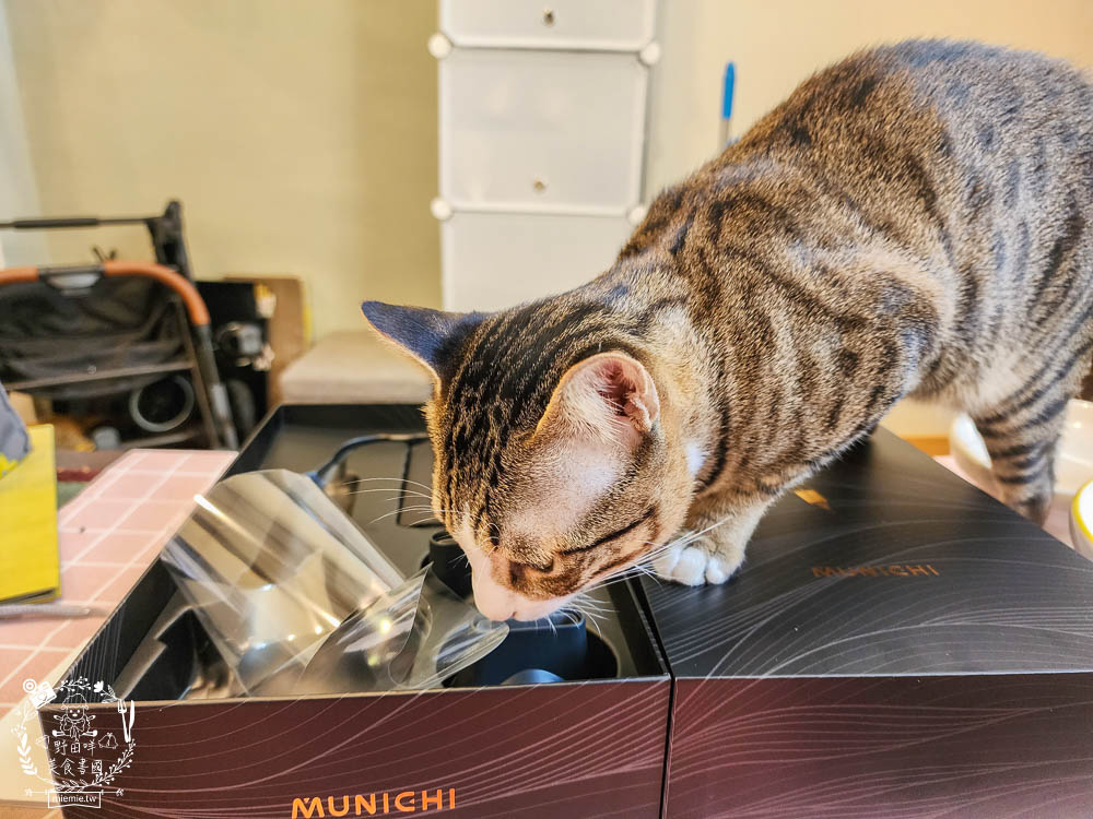 負離子吹風機推薦!MUNICHI 沐尼黑 極靜沙龍級負離子高速吹風機 MR.COIN|超輕巧的2000萬高濃度負離子吹風機