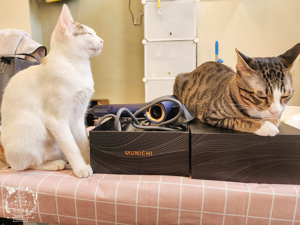 負離子吹風機推薦!MUNICHI 沐尼黑 極靜沙龍級負離子高速吹風機 MR.COIN|超輕巧的2000萬高濃度負離子吹風機