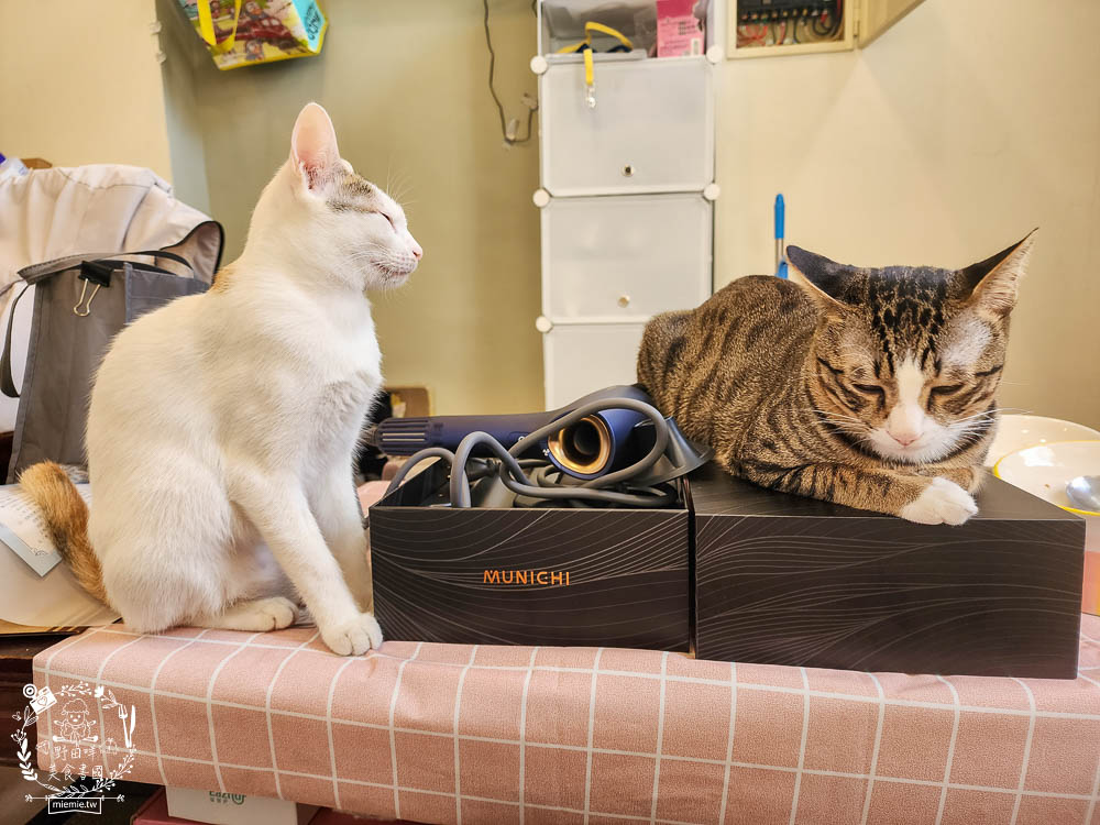 負離子吹風機推薦!MUNICHI 沐尼黑 極靜沙龍級負離子高速吹風機 MR.COIN|超輕巧的2000萬高濃度負離子吹風機