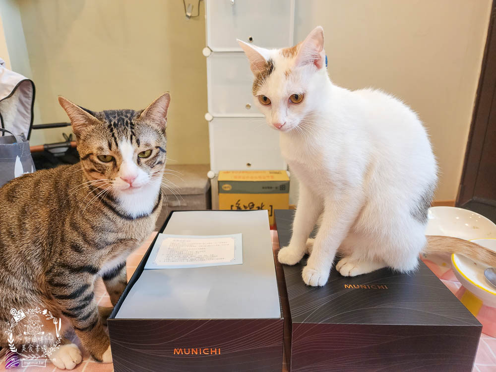 負離子吹風機推薦!MUNICHI 沐尼黑 極靜沙龍級負離子高速吹風機 MR.COIN|超輕巧的2000萬高濃度負離子吹風機