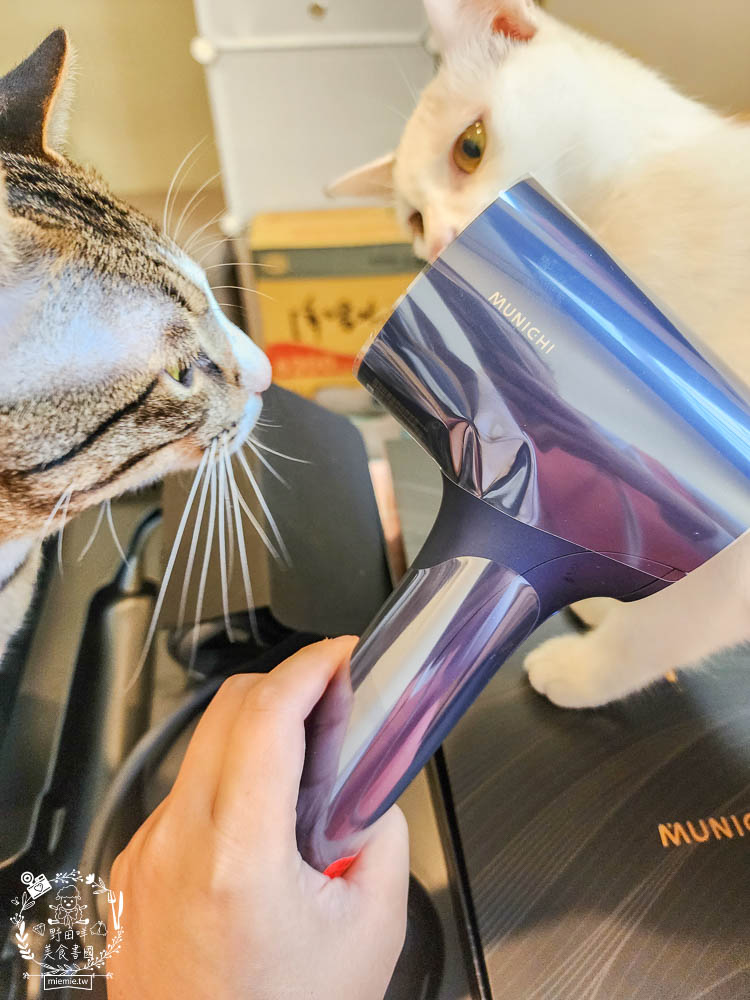 負離子吹風機推薦!MUNICHI 沐尼黑 極靜沙龍級負離子高速吹風機 MR.COIN|超輕巧的2000萬高濃度負離子吹風機