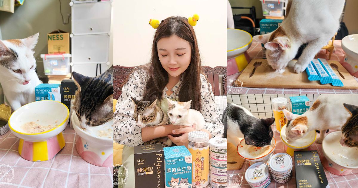 宏瑋寵物腸道益生菌黑酵母離胺酸|超多萃取物與90億專利活菌可以幫助便便順暢不臭臭|幫助鈣質吸收、強化生理機能