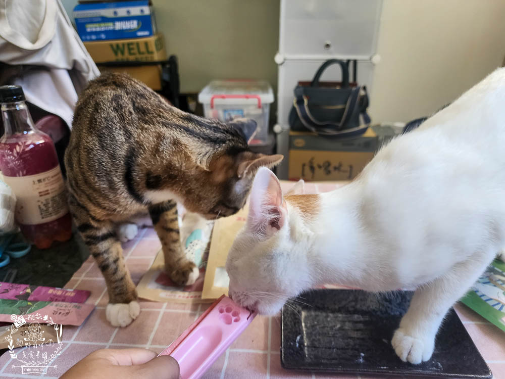 機能貓狗肉泥開箱[寵心出發泥好天然營養蔬果肉泥]寵物獎勵零食推薦!???%純天然營養蔬果肉泥!無增稠劑|無色素|無調味劑|無防腐劑|低磷配方