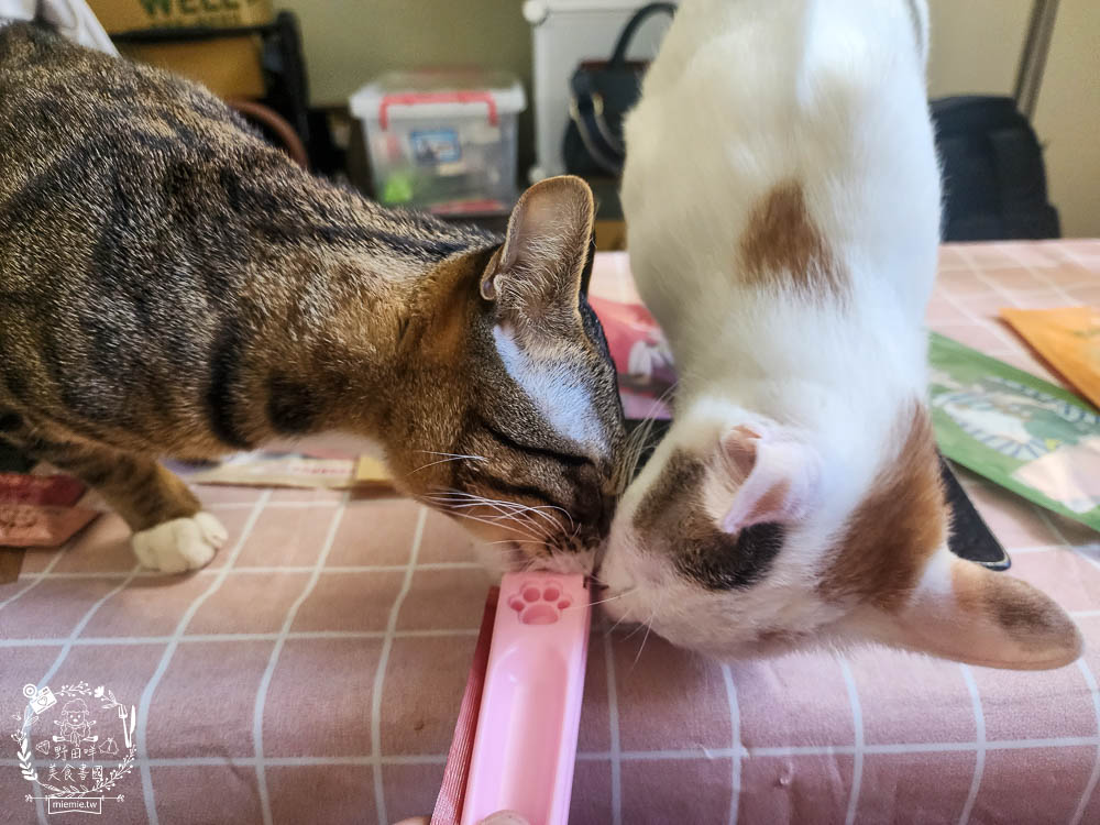 機能貓狗肉泥開箱[寵心出發泥好天然營養蔬果肉泥]寵物獎勵零食推薦!???%純天然營養蔬果肉泥!無增稠劑|無色素|無調味劑|無防腐劑|低磷配方