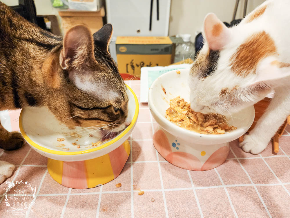 寵物餐包推薦[寵心出發鮮食機能餐包]添加加強皮毛護理、強健骨骼的膠原蛋白胜肽、補充omega-3的魚油粉、強化身體機能照護眼睛的初榨椰子油