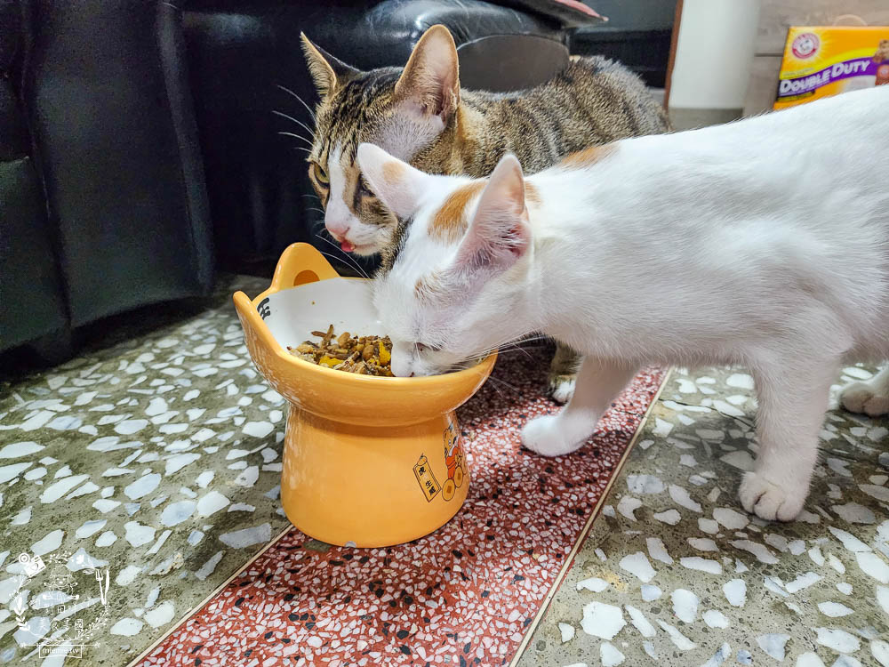 寵物餐包推薦[寵心出發鮮食機能餐包]添加加強皮毛護理、強健骨骼的膠原蛋白胜肽、補充omega-3的魚油粉、強化身體機能照護眼睛的初榨椰子油