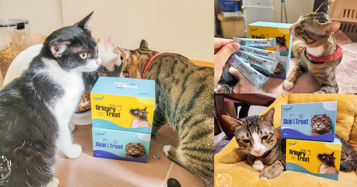 貓咪保健品推薦[沛睿德寵護皮膚保健+泌尿道保健品]Cinteral®專利微胜肽提升吸收力!添加鮮美深海魚粉適口性超好！