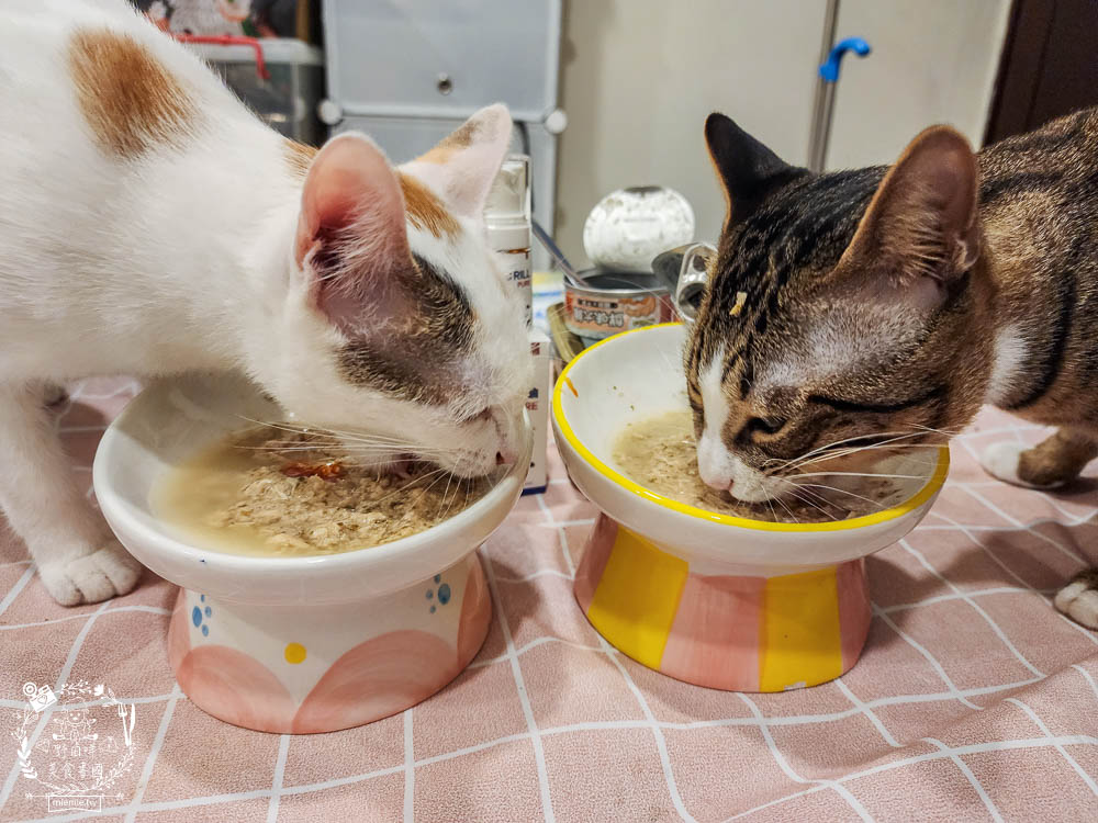 肉球世界適口性與營養含量極高的AK南極磷蝦X雞肉凍乾無穀貓糧+VCARE神奇的南極磷蝦油+鮮味大絲肉絲主食罐