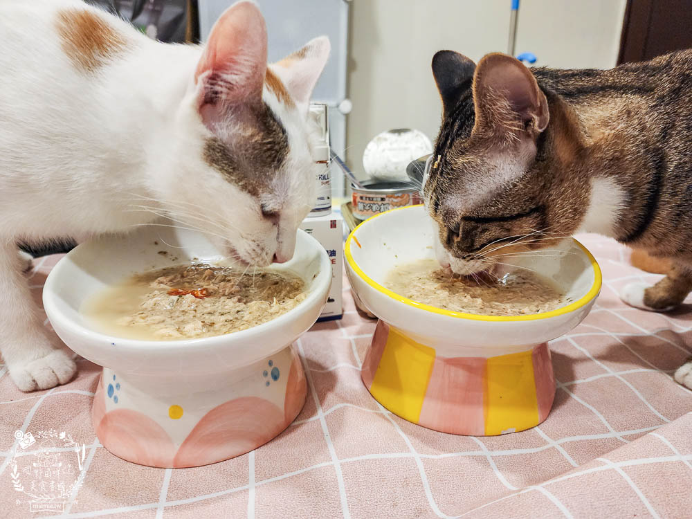 肉球世界適口性與營養含量極高的AK南極磷蝦X雞肉凍乾無穀貓糧+VCARE神奇的南極磷蝦油+鮮味大絲肉絲主食罐