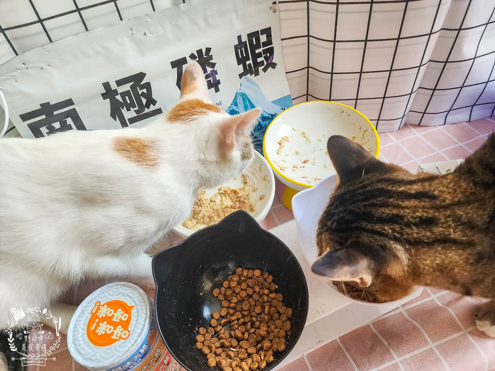 肉球世界適口性與營養含量極高的AK南極磷蝦X雞肉凍乾無穀貓糧+VCARE神奇的南極磷蝦油+鮮味大絲肉絲主食罐