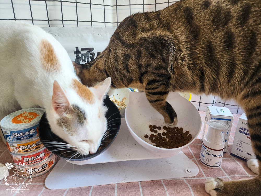 肉球世界適口性與營養含量極高的AK南極磷蝦X雞肉凍乾無穀貓糧+VCARE神奇的南極磷蝦油+鮮味大絲肉絲主食罐