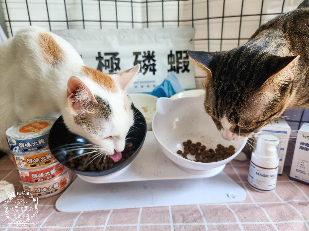 肉球世界適口性與營養含量極高的AK南極磷蝦X雞肉凍乾無穀貓糧+VCARE神奇的南極磷蝦油+鮮味大絲肉絲主食罐
