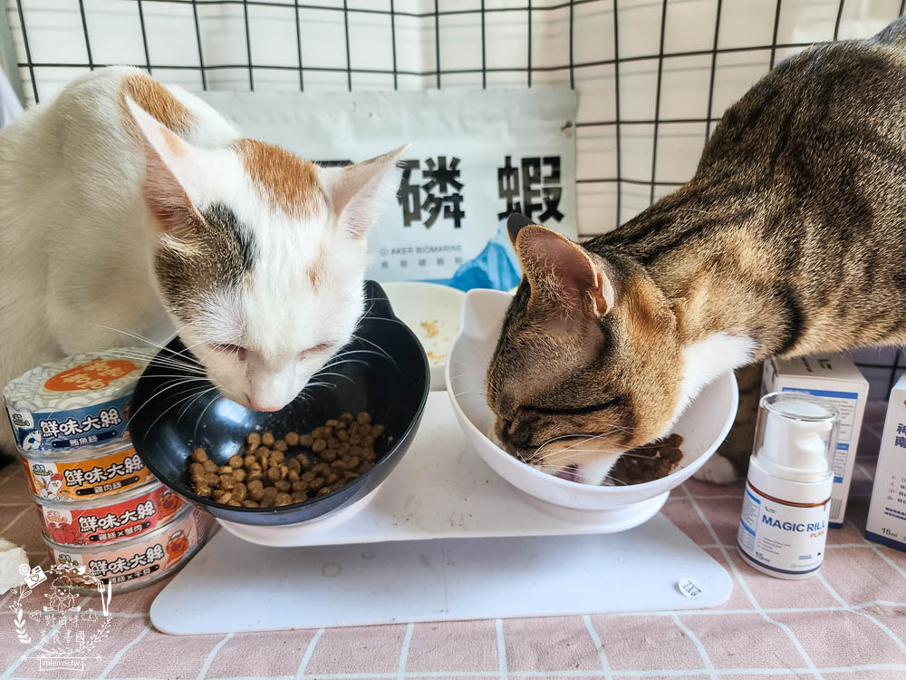 肉球世界適口性與營養含量極高的AK南極磷蝦X雞肉凍乾無穀貓糧+VCARE神奇的南極磷蝦油+鮮味大絲肉絲主食罐