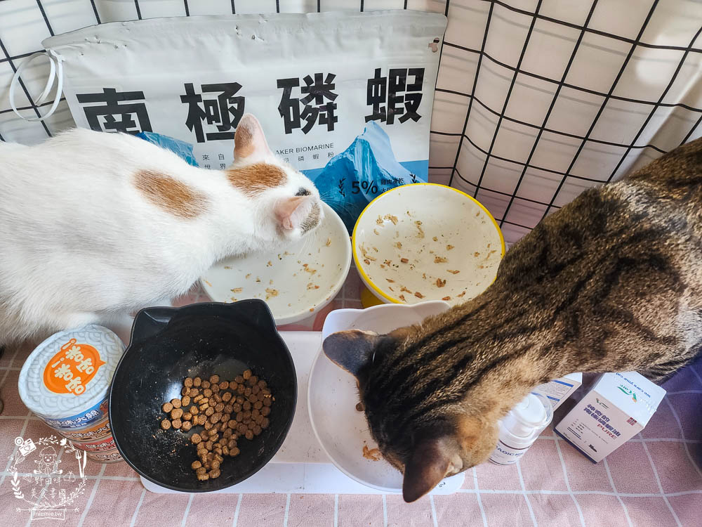 肉球世界適口性與營養含量極高的AK南極磷蝦X雞肉凍乾無穀貓糧+VCARE神奇的南極磷蝦油+鮮味大絲肉絲主食罐