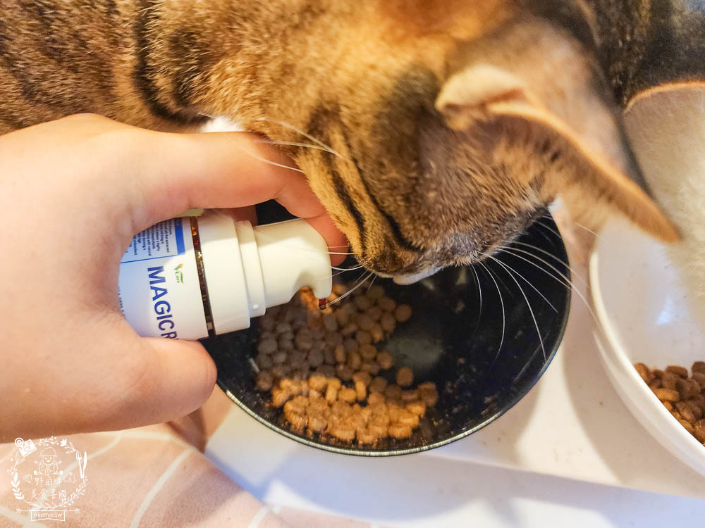 肉球世界適口性與營養含量極高的AK南極磷蝦X雞肉凍乾無穀貓糧+VCARE神奇的南極磷蝦油+鮮味大絲肉絲主食罐