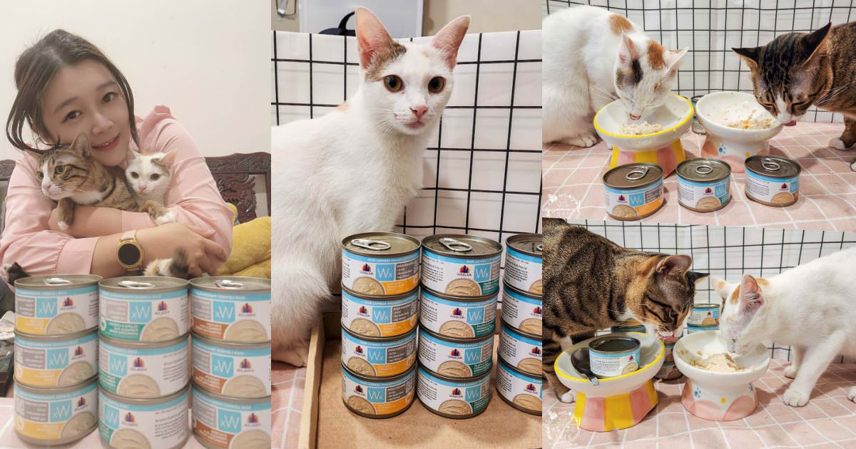 WERUVA唯美味[Wx超低磷貓罐]腎貓罐頭推薦!53mg/100大卡磷含量AAFCO最低標準減少20%