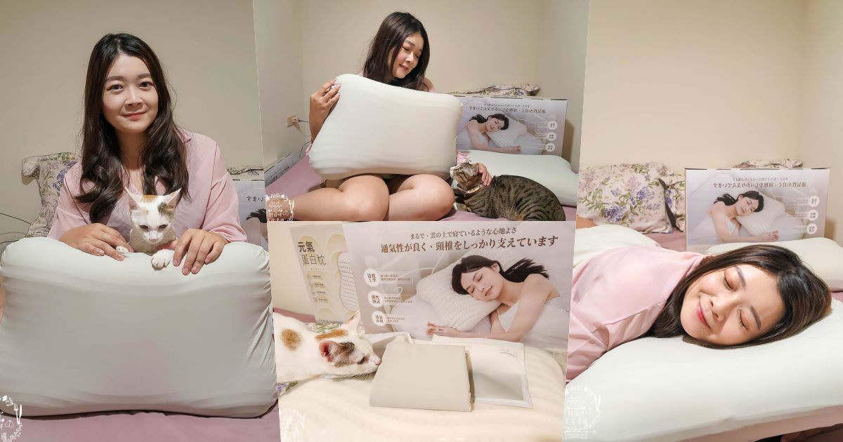 天然乳膠枕頭推薦[枕好睡元氣蛋白枕]日本最新研發技術的立體線型透氣孔排濕不悶熱|泰國高純度天然乳膠抑菌防螨