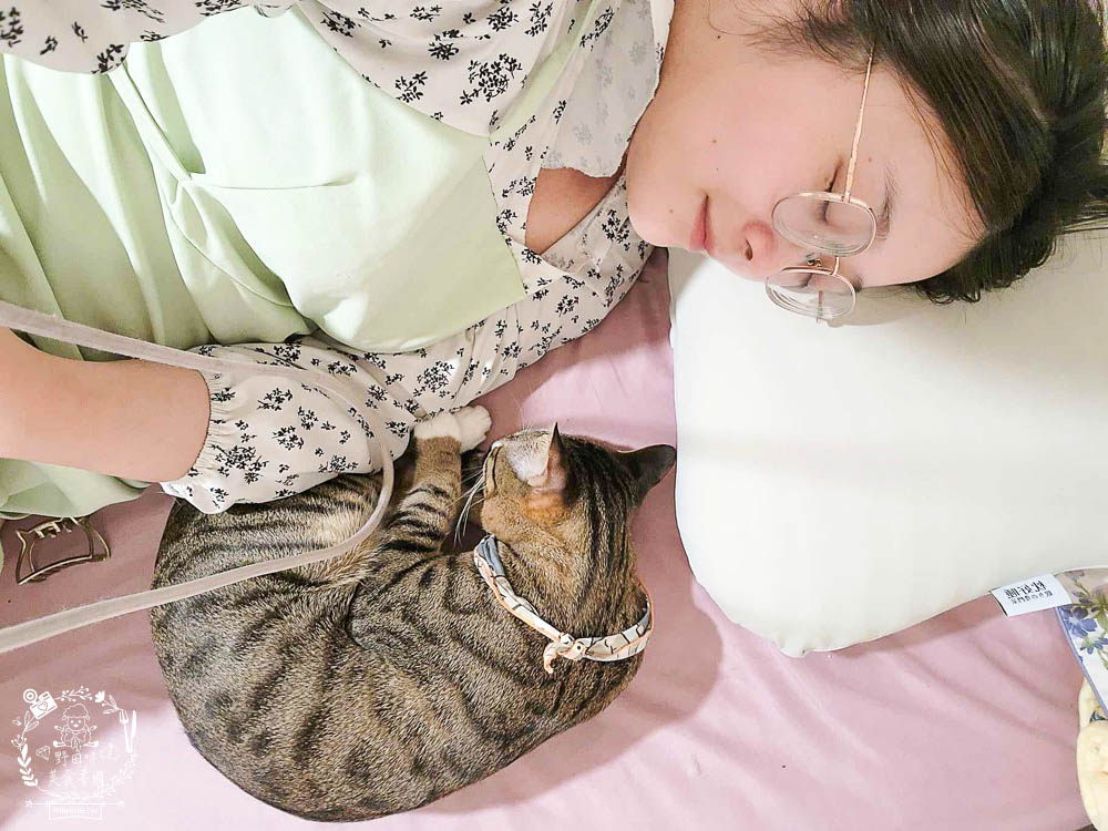 天然乳膠枕頭推薦[枕好睡元氣蛋白枕]日本最新研發技術的立體線型透氣孔排濕不悶熱|泰國高純度天然乳膠抑菌防螨