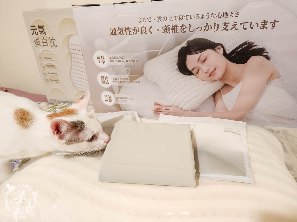 天然乳膠枕頭推薦[枕好睡元氣蛋白枕]日本最新研發技術的立體線型透氣孔排濕不悶熱|泰國高純度天然乳膠抑菌防螨