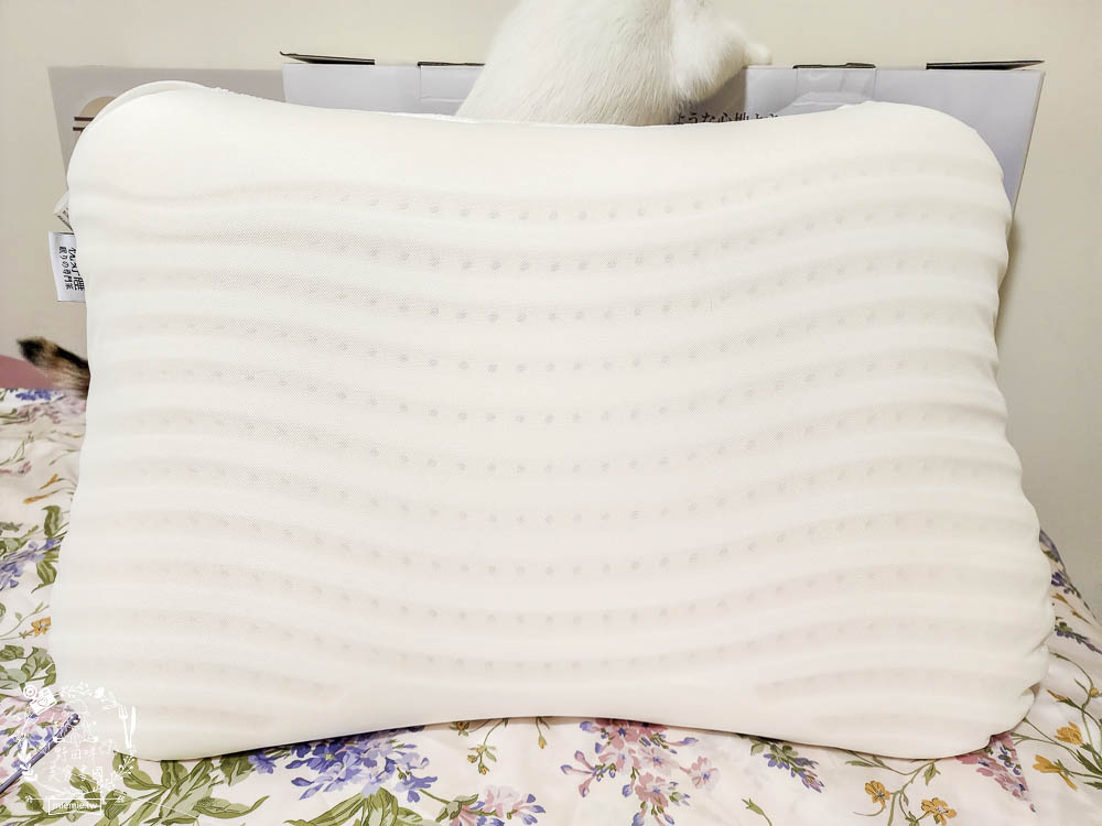 天然乳膠枕頭推薦[枕好睡元氣蛋白枕]日本最新研發技術的立體線型透氣孔排濕不悶熱|泰國高純度天然乳膠抑菌防螨