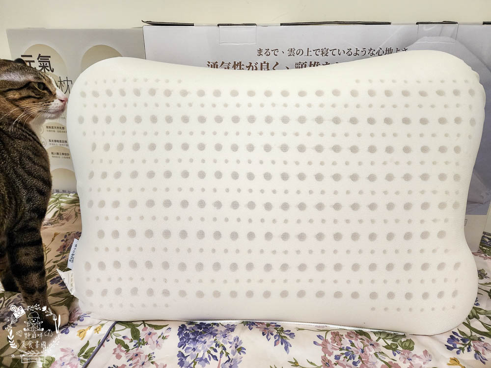 天然乳膠枕頭推薦[枕好睡元氣蛋白枕]日本最新研發技術的立體線型透氣孔排濕不悶熱|泰國高純度天然乳膠抑菌防螨