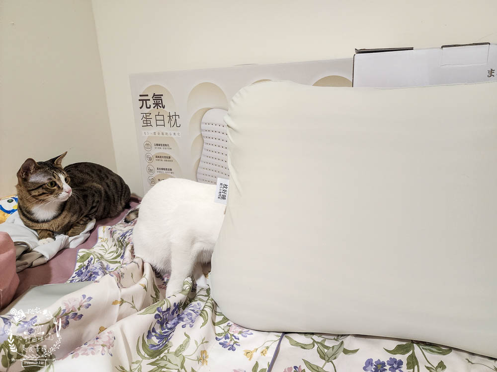 天然乳膠枕頭推薦[枕好睡元氣蛋白枕]日本最新研發技術的立體線型透氣孔排濕不悶熱|泰國高純度天然乳膠抑菌防螨