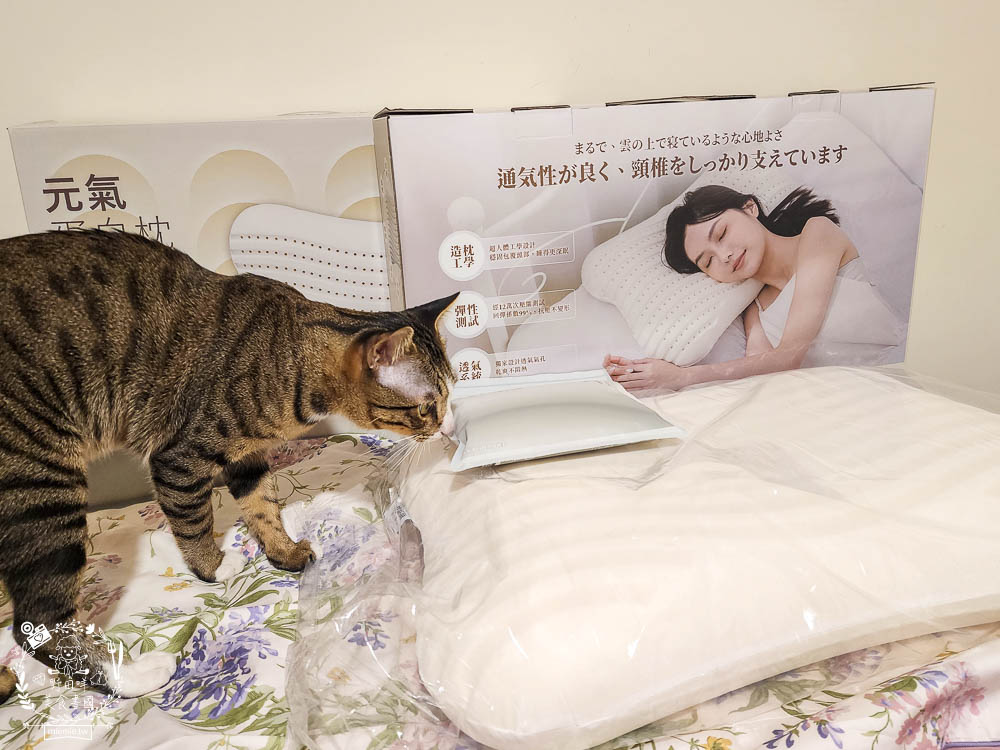 天然乳膠枕頭推薦[枕好睡元氣蛋白枕]日本最新研發技術的立體線型透氣孔排濕不悶熱|泰國高純度天然乳膠抑菌防螨