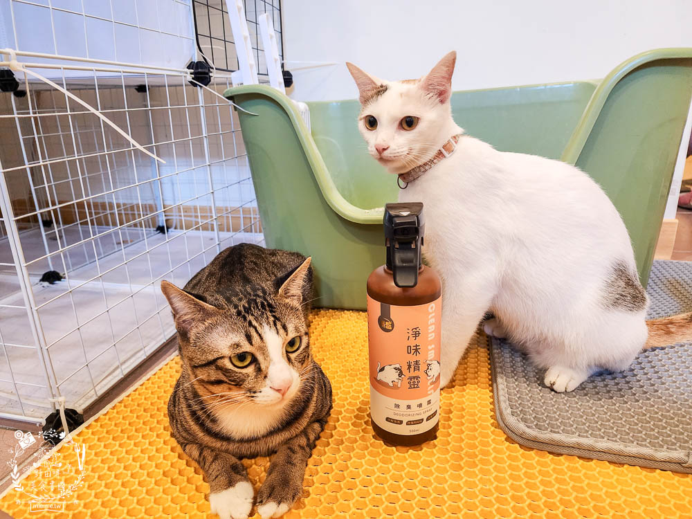 寵物除臭噴霧開箱[淨味精靈評價]寵物尿味除臭的好幫手!終於不再被貓砂味給困擾了！