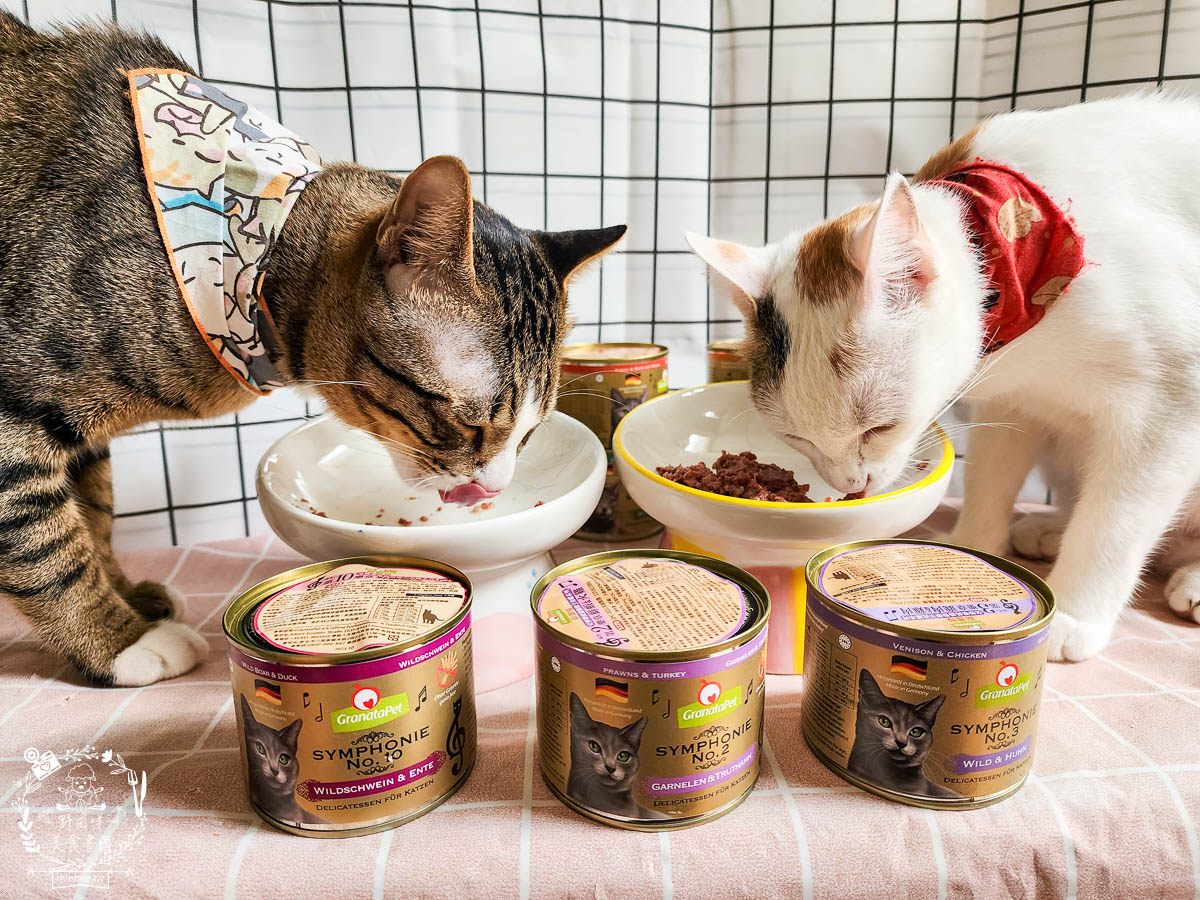 德國貓咪主食罐[葛蕾特交響樂主食貓罐評價]添加石榴的營養保健聖品!高蛋白低碳水的貓咪主食罐推薦！